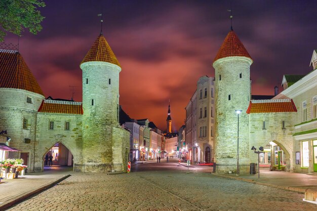 Innovación y Tecnología: Estonia Surge como el Tigre Económico de Europa en 2023.