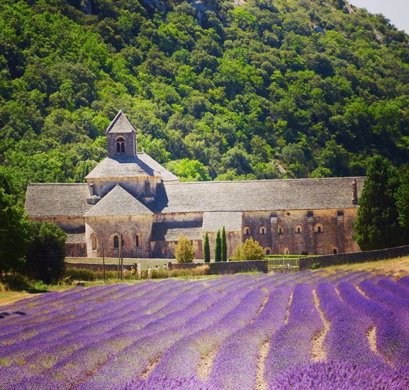 Rutas florales de primavera: Viaja por las regiones europeas que deslumbran con su belleza floral en la temporada primaveral.