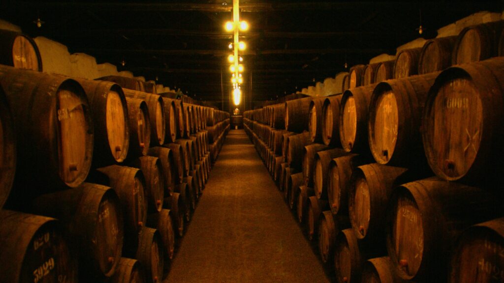 Descubre las mejores rutas del vino en Europa.